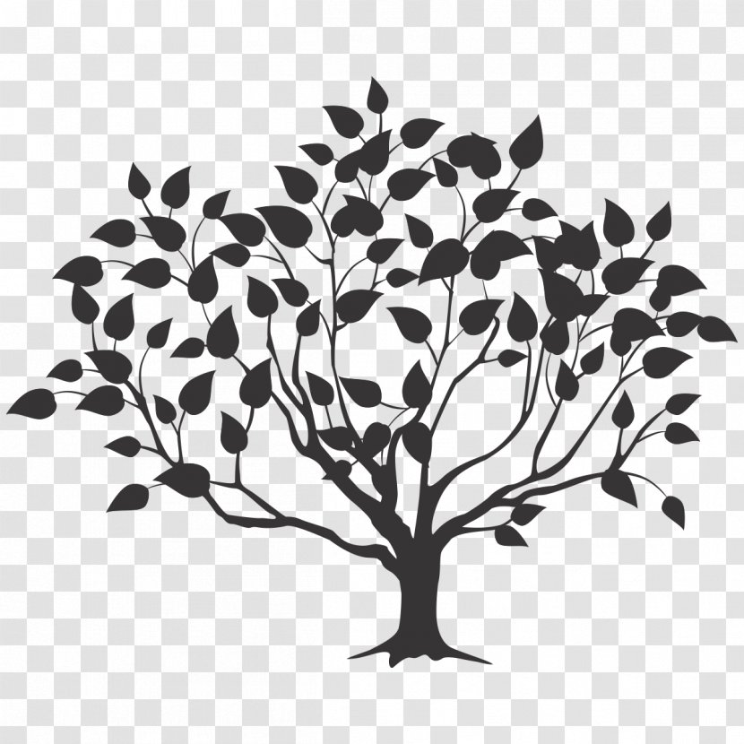 Root Tree Drawing - Twig - Silhouette Of Transparent PNG