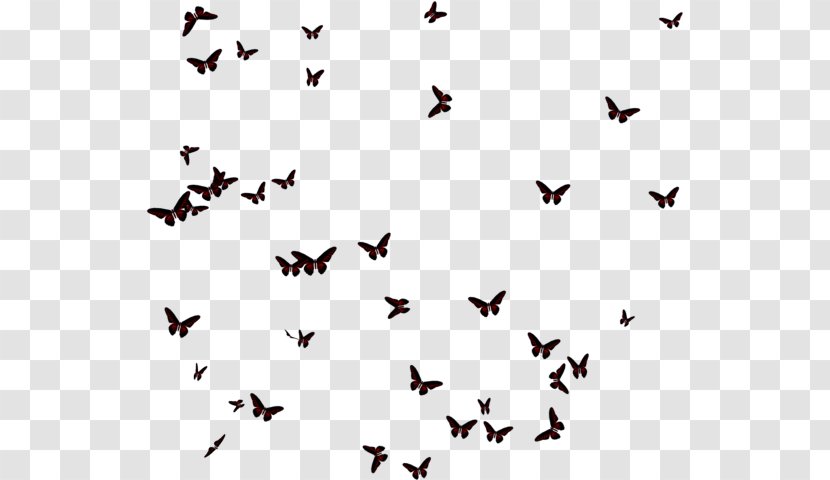 Butterfly Insect Image Borboleta - Silhouette Transparent PNG