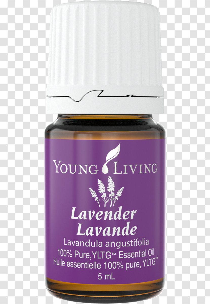 Lavender Oil Young Living Essential Palo Santo - Frankincense - Oils Allergic Reaction Transparent PNG