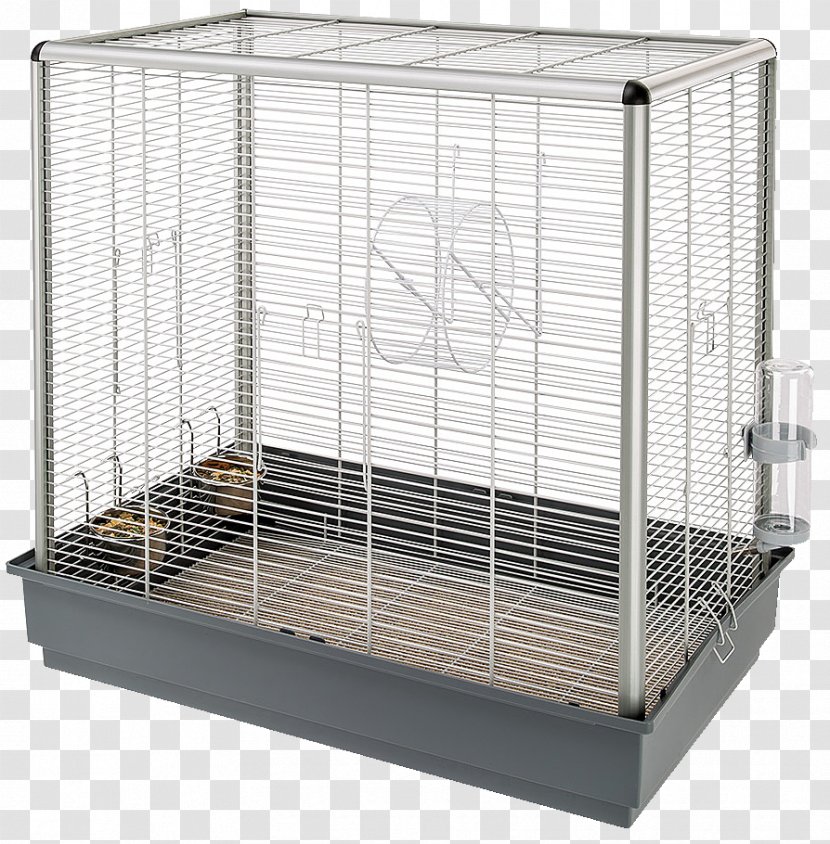 Rodent Squirrel Ferplast Cage Jenny Scoiattoli KD 80 X 50 76.5 Cm Transparent PNG