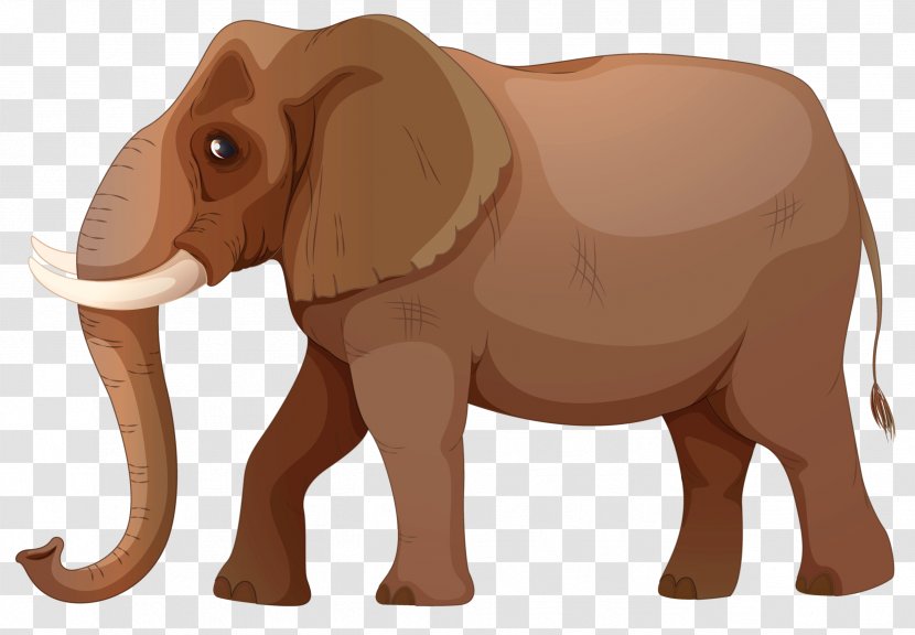 African Elephant Indian Baby Elephants Transparent PNG