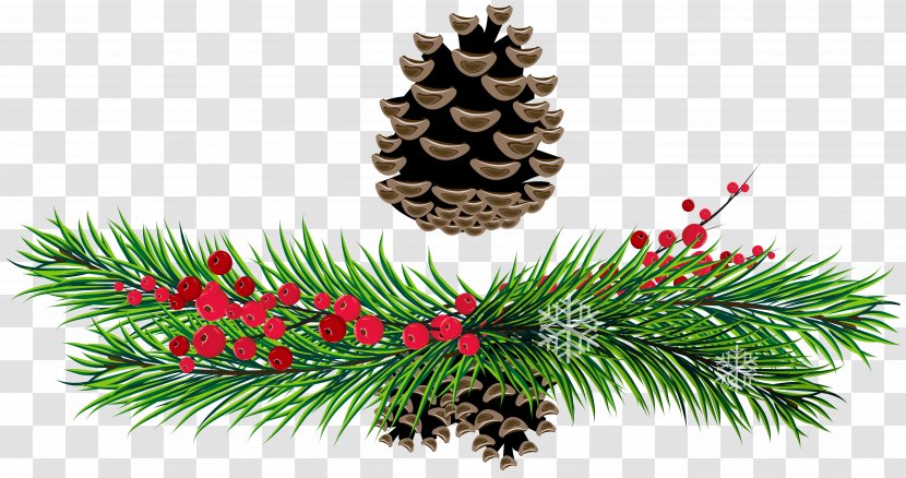Pine Conifer Cone Christmas Clip Art - Kissing Bough - Green Branch Cliparts Transparent PNG