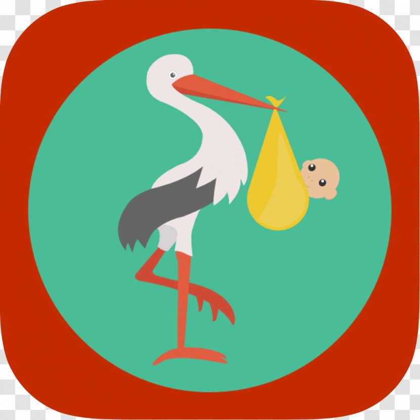 Infant Childbirth Prenatal Care Pregnancy - Midwifery - Turkey Bird Transparent PNG