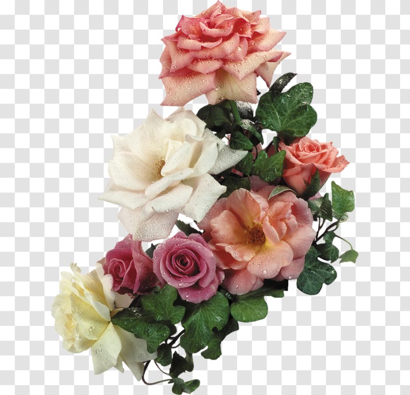 Desktop Wallpaper Flower Bouquet Rose - Rosa Centifolia Transparent PNG
