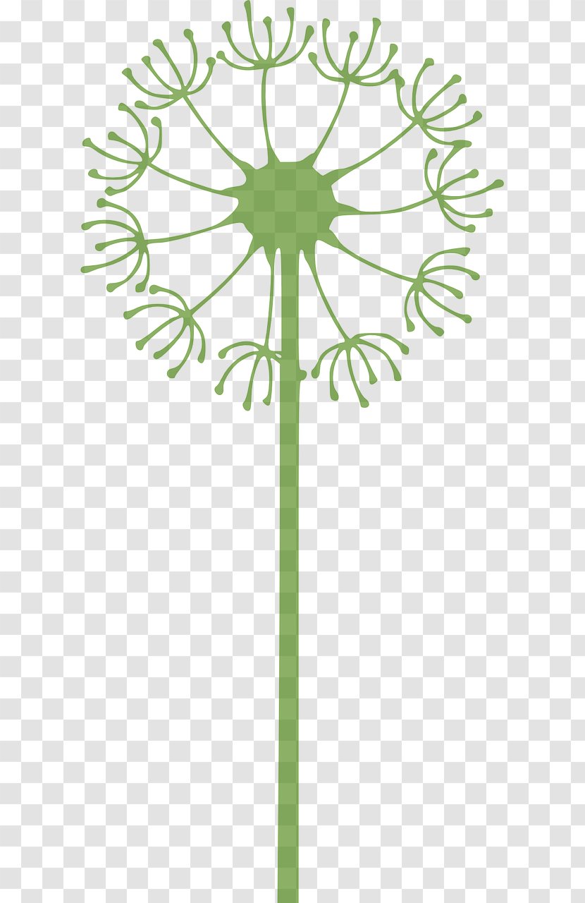 Dandelion Clip Art - Flora Transparent PNG
