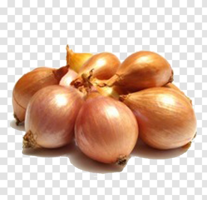 Onion Piyaz Chili Con Carne Mandi Vegetable - Genus - Unpeeled Garlic Transparent PNG