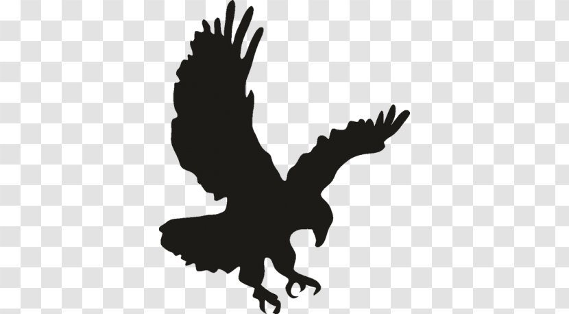 Bald Eagle Bird Clip Art - Hand Transparent PNG