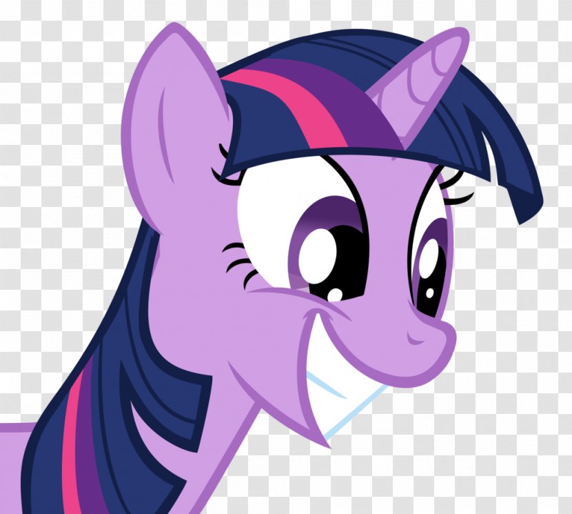 Twilight Sparkle Rarity Rainbow Dash Pinkie Pie Applejack - Flower - Brooklyn Ninenine Season 5 Transparent PNG