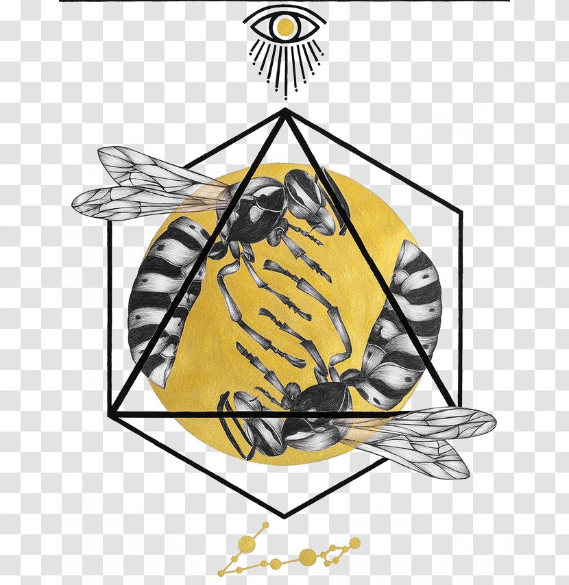 Honey Bee Illustrator Art Creative Work Illustration - Moths And Butterflies Transparent PNG