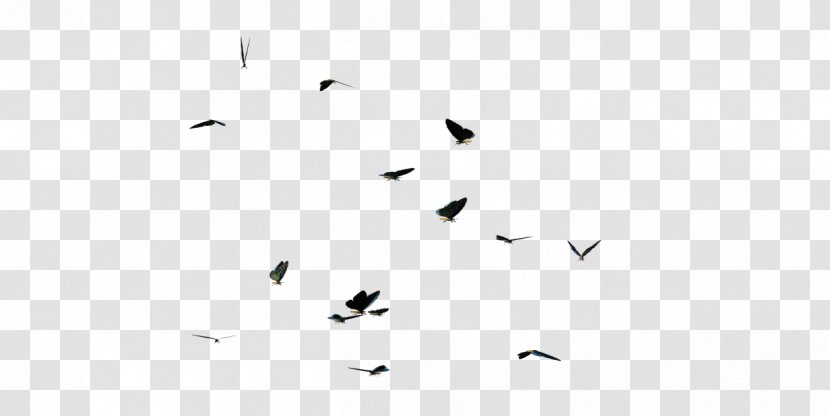 Black And White Line Angle Point - Butterflies Swarm Clipart Transparent PNG