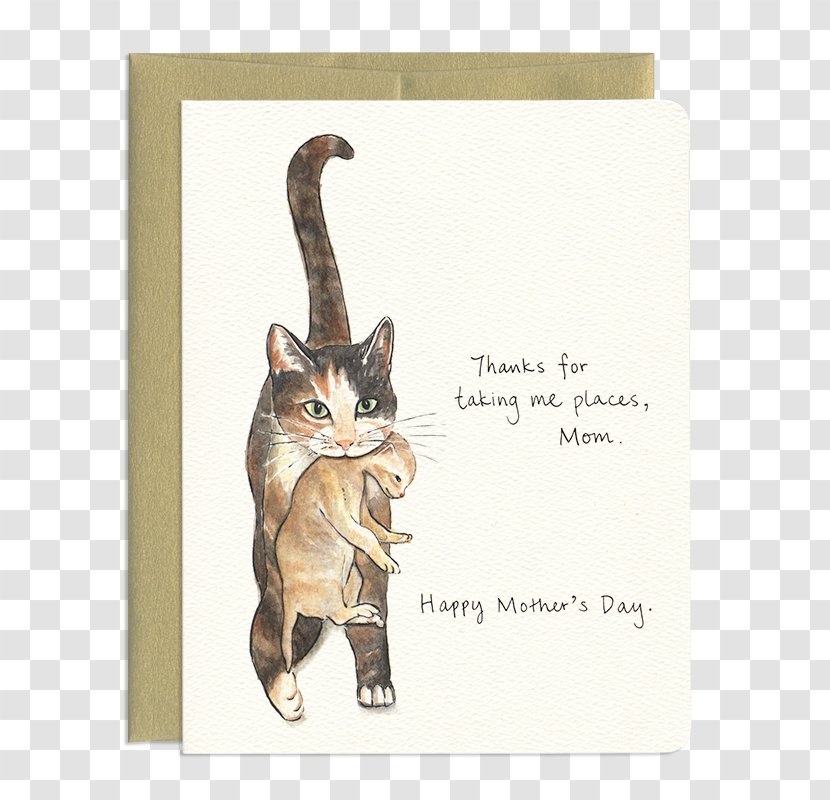 Kitten Tabby Cat Whiskers Mother's Day - Paw Transparent PNG