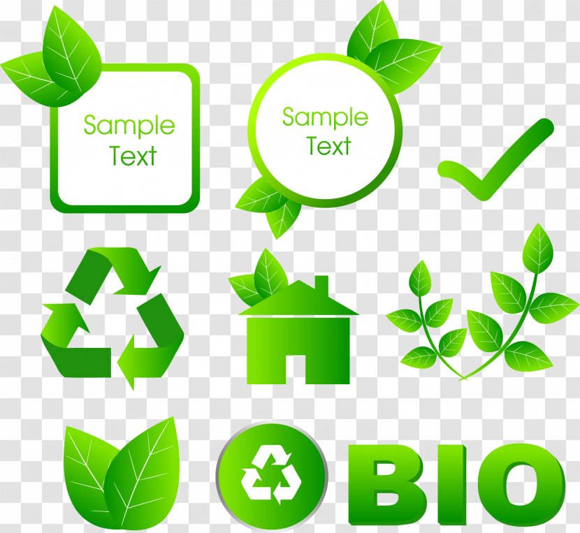 Vector Green Label - Logo - Sticker Transparent PNG