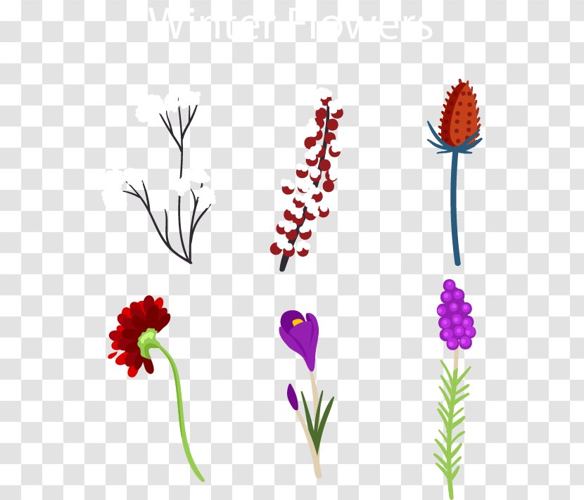Floral Design Clip Art - Flower - Six Winter Flowers Transparent PNG
