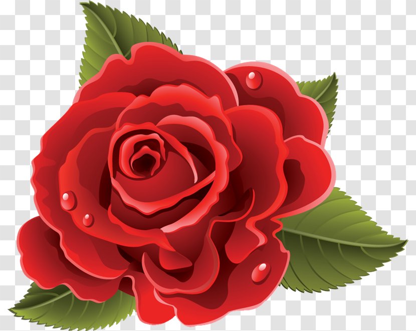 Flower Rose Blog - Family - Fl[ating Transparent PNG