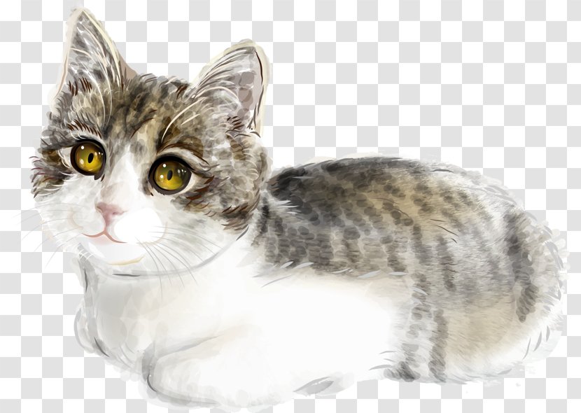 Cat Kitten Illustration - Small To Medium Sized Cats - Cute Transparent PNG
