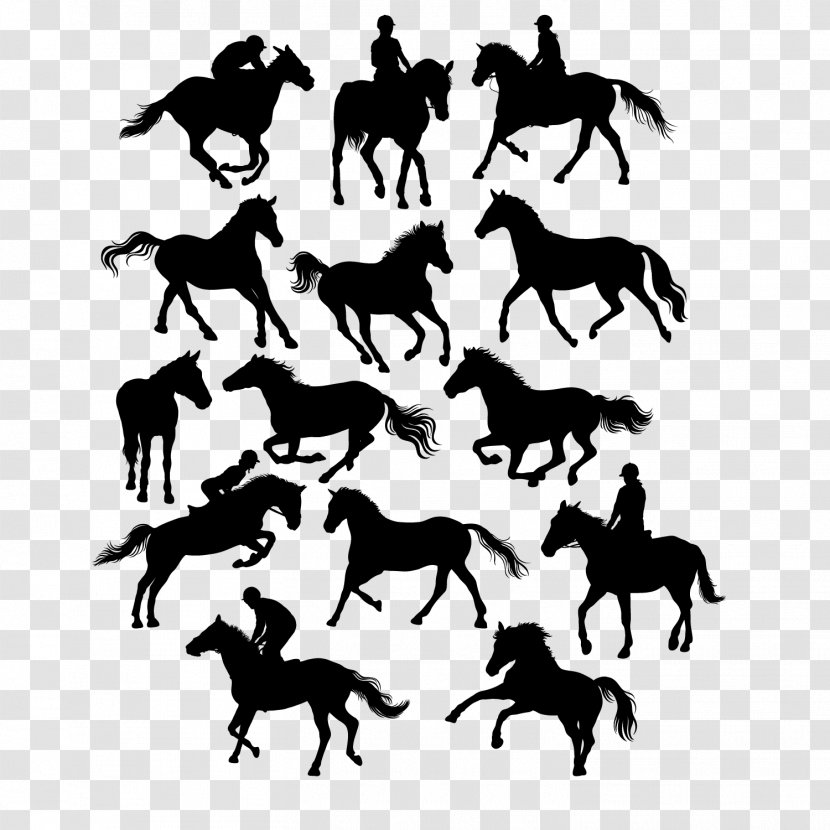 Horse Euclidean Vector Equestrianism Illustration - 14 Creative Equestrian With Silhouette Material Transparent PNG