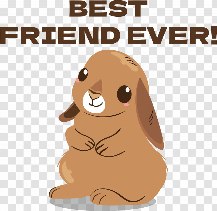 Rabbit Hares Paw Puppy Transparent PNG