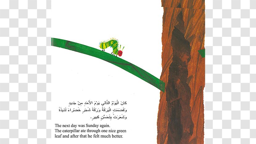 The Very Hungry Caterpillar Hunger Picture Book Transparent PNG