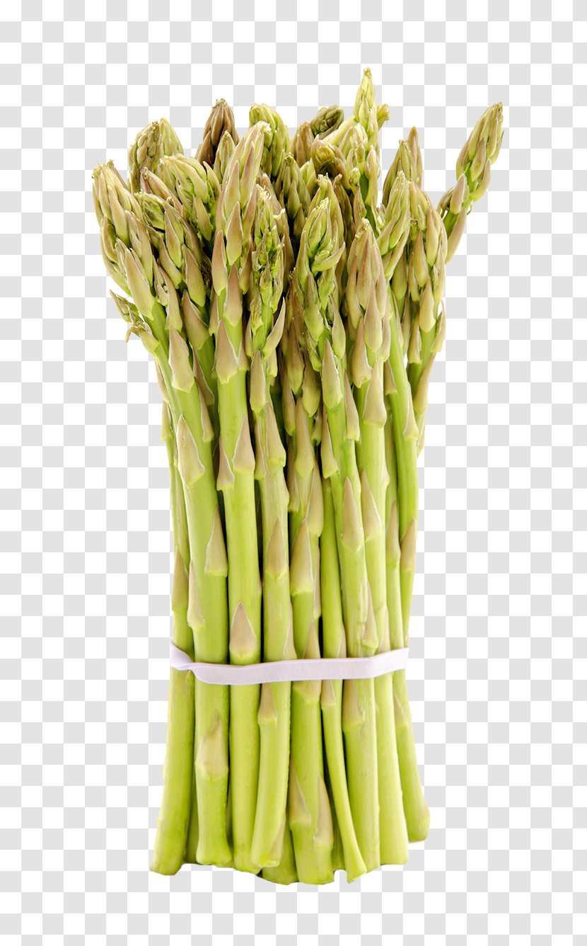 Asparagus Vegetarian Cuisine Bamboo Shoot Vegetable - Eating - Delicious Shoots Transparent PNG
