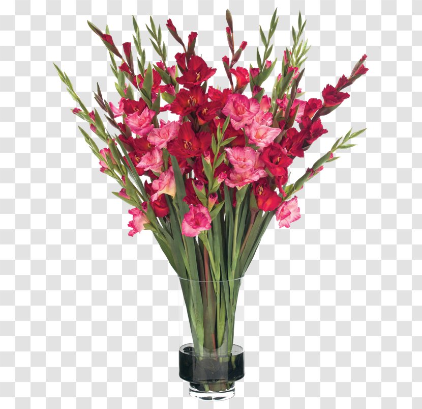 Flower Clip Art - Magenta - Gladiolus Transparent PNG
