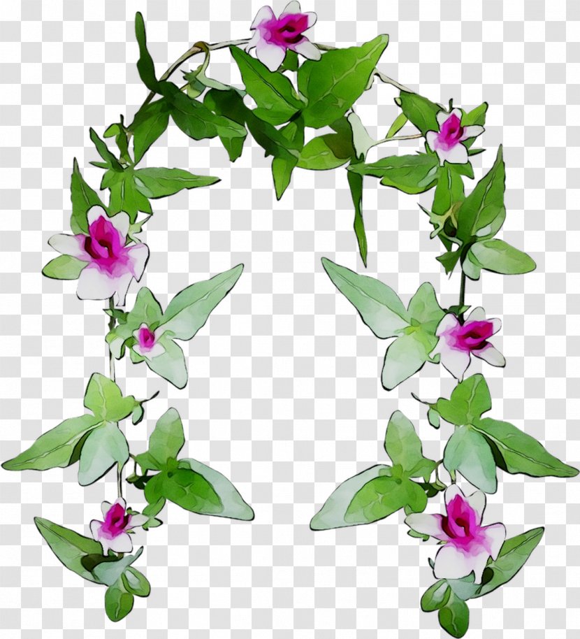 Flower Image Painting Thumbnail - Daphne - Digital Transparent PNG