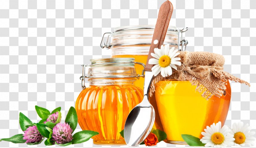 Honeycomb Organic Food Bee Buckwheat - Sweetness - Honey Transparent PNG