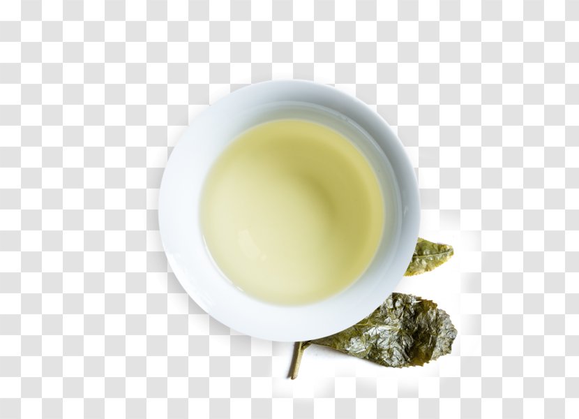 Oolong Sencha - Tea Transparent PNG