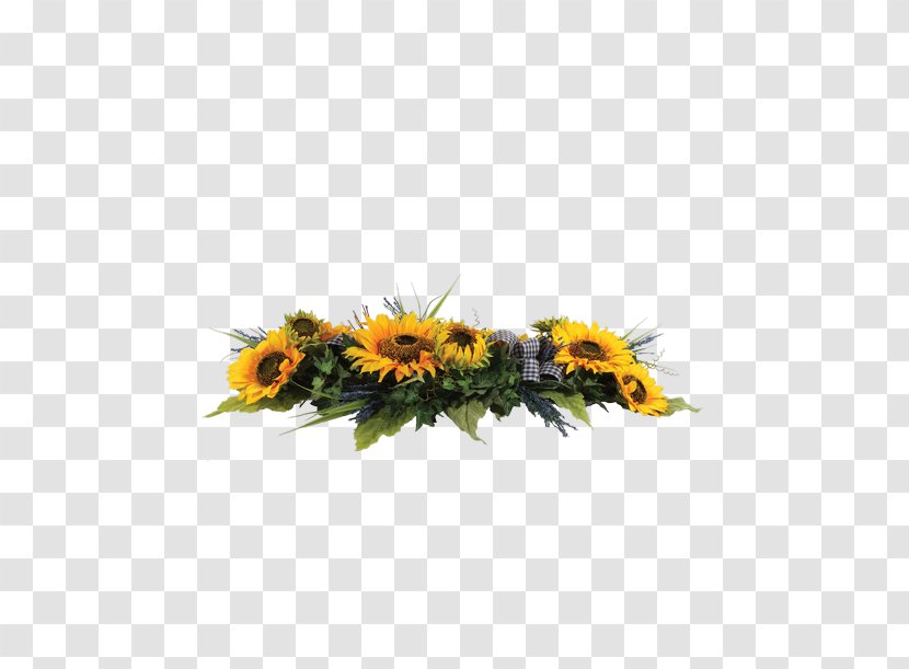 Common Sunflower Connells Maple Lee Flowers & Gifts Plant Rose - Flower Transparent PNG