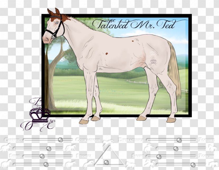 Mane Mustang Foal Stallion Colt - Bit - Talented Transparent PNG