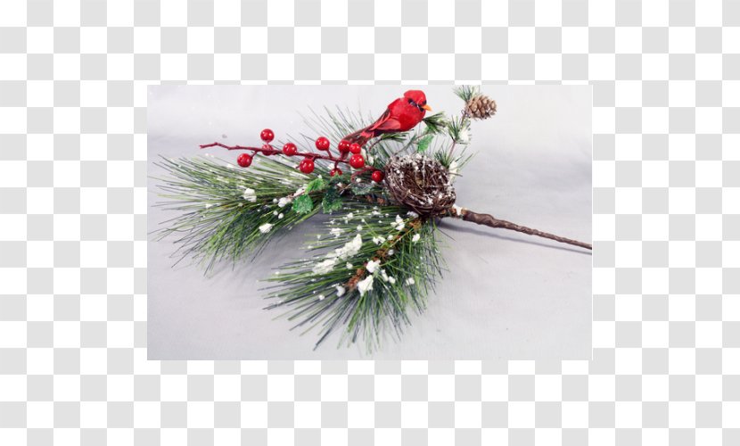 Floral Design Christmas Ornament Spruce Cut Flowers - Decoration - Flower Transparent PNG