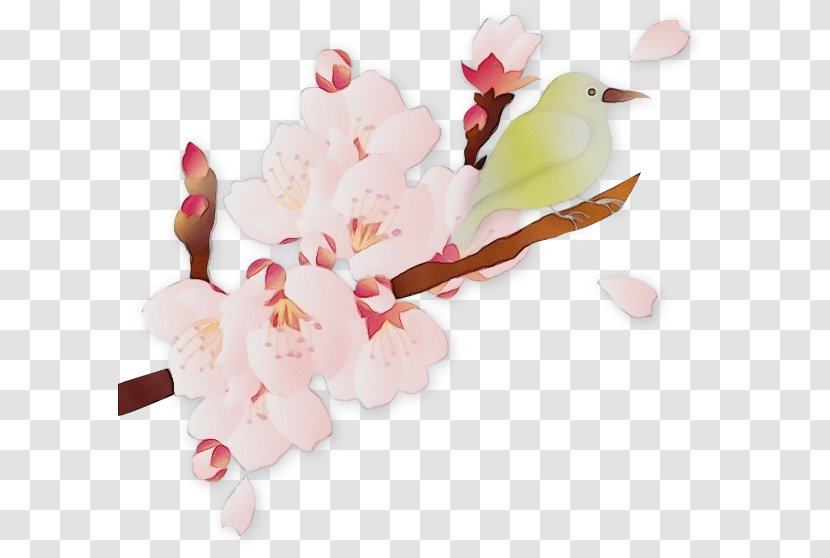 Cherry Blossom - Pink - Twig Cut Flowers Transparent PNG