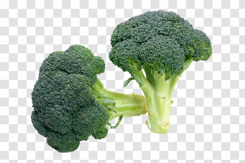Broccoli Vegetable Food Recipe Salad - Cabbage - HD Transparent PNG