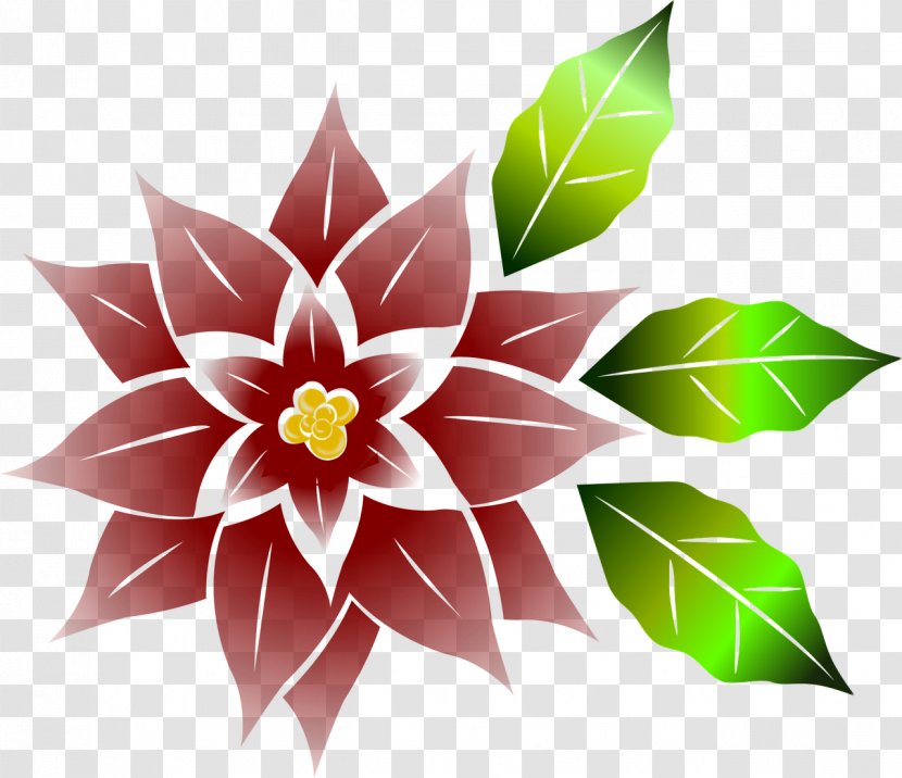 Poinsettia Flower Christmas - Leaf - Red Transparent PNG