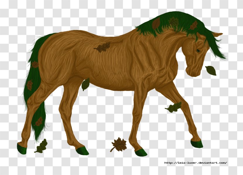 Mane Mustang Foal Stallion Mare - Rein Transparent PNG