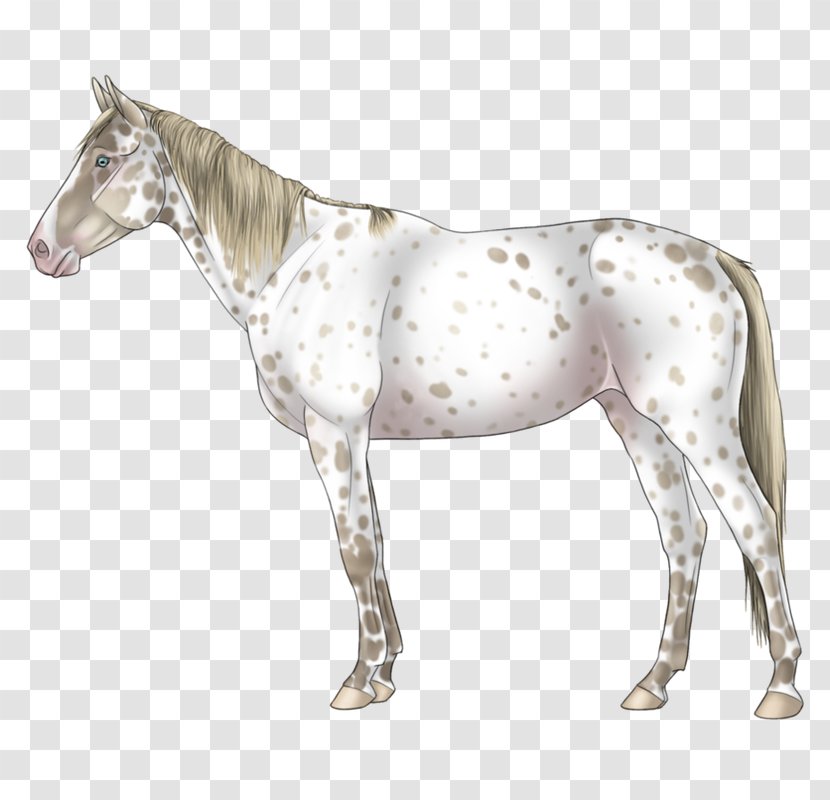 Mane Mustang Stallion Pony Mare - Pack Animal Transparent PNG