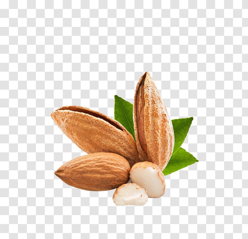 Nut Almond - Ingredient - Nuts Decorative Patterns Transparent PNG