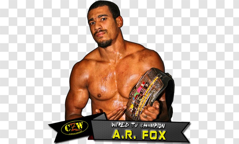 AR Fox Professional Wrestler Combat Zone Wrestling Evolve - Cartoon - Flower Transparent PNG