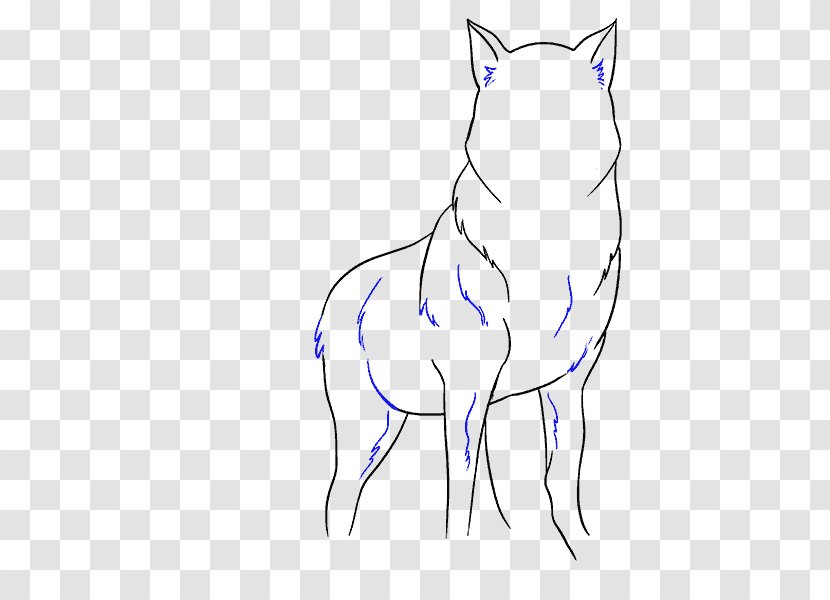 Gray Wolf Drawing Line Art Sketch - Cartoon - Painting Transparent PNG