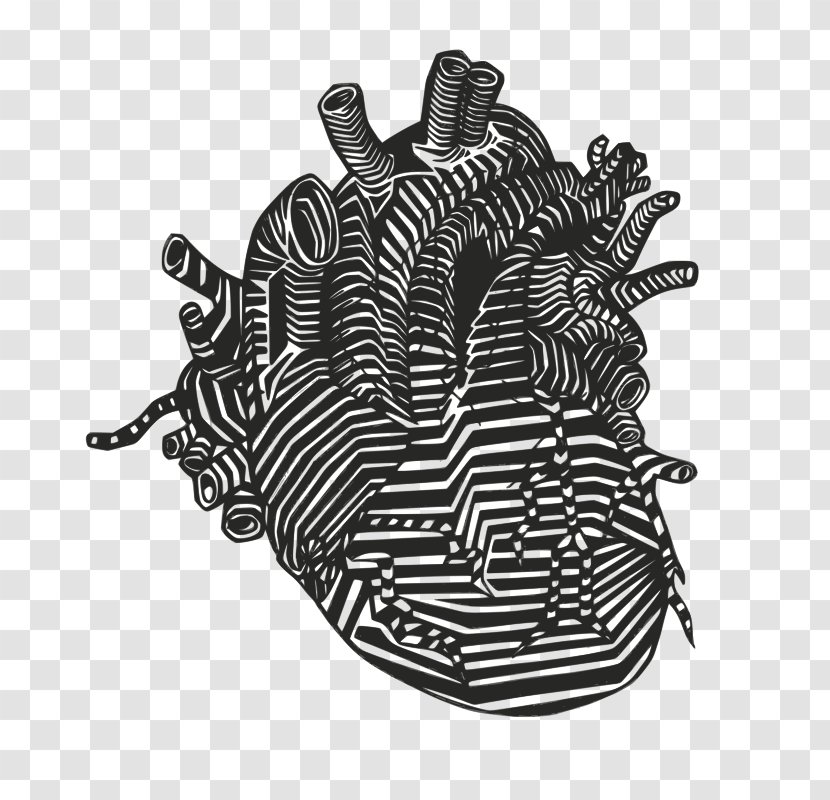 Heart Anatomy Drawing Vein Clip Art - Cartoon Transparent PNG