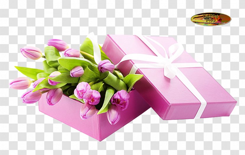 Gift Tulip Birthday Cut Flowers Transparent PNG