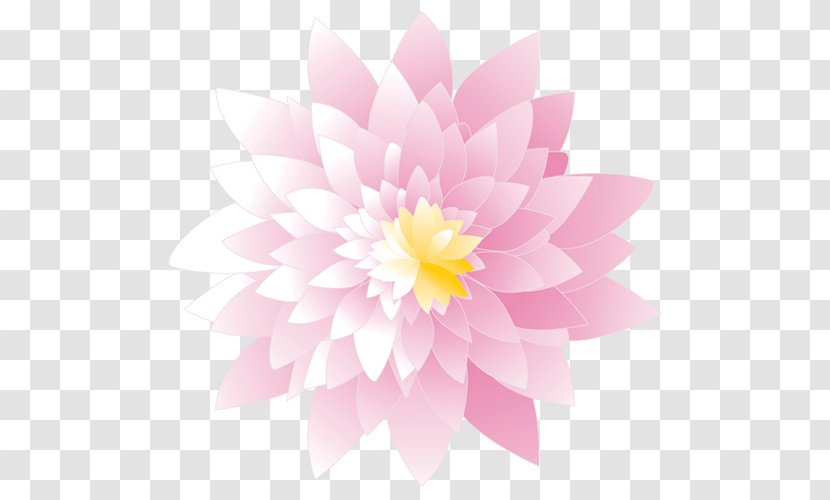 Dahlia Floral Design Chrysanthemum Petal Transparent PNG