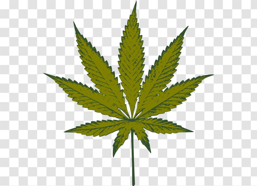 Medical Cannabis Hashish Clip Art - Plant Transparent PNG