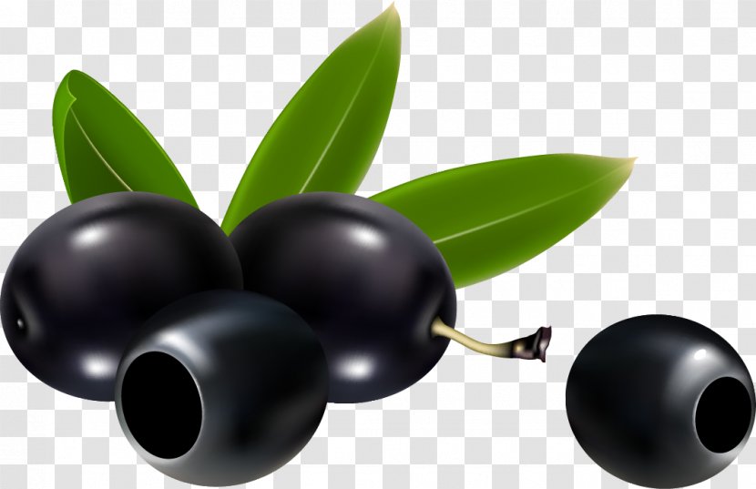 Olive Branch Clip Art - Plant Transparent PNG