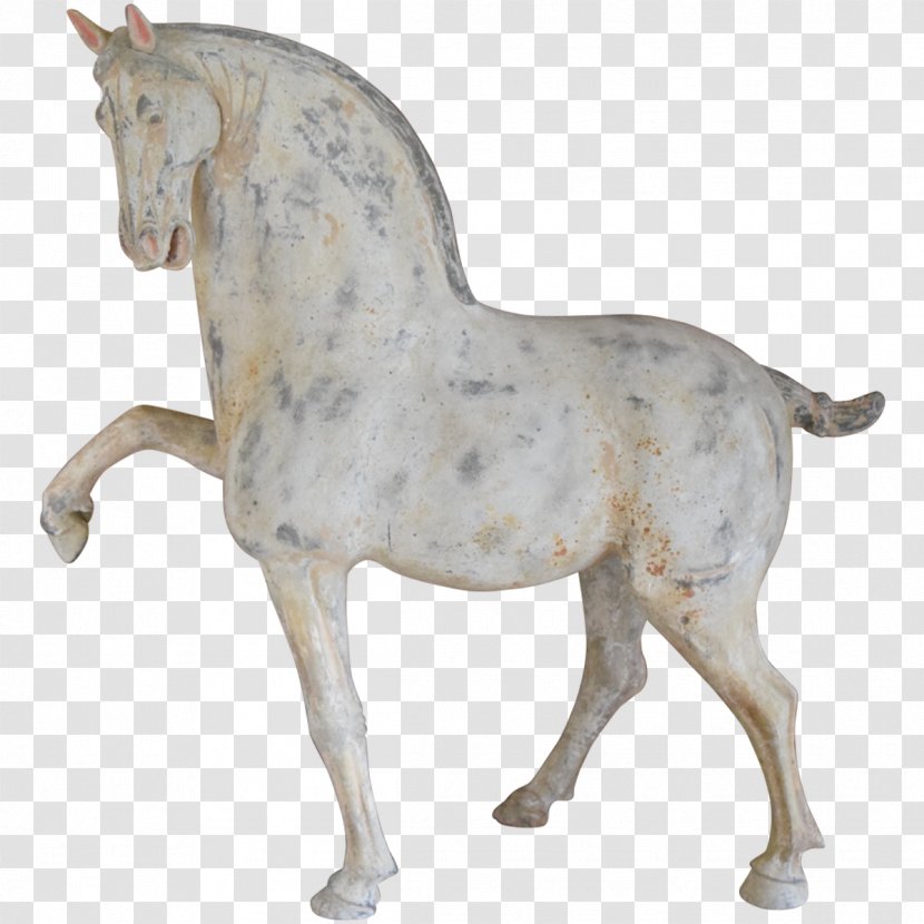 Stallion Mustang Foal Mare Pony - Horse Transparent PNG