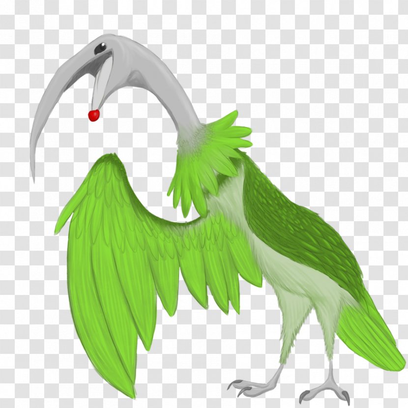 Beak Fauna Feather - Bird Transparent PNG