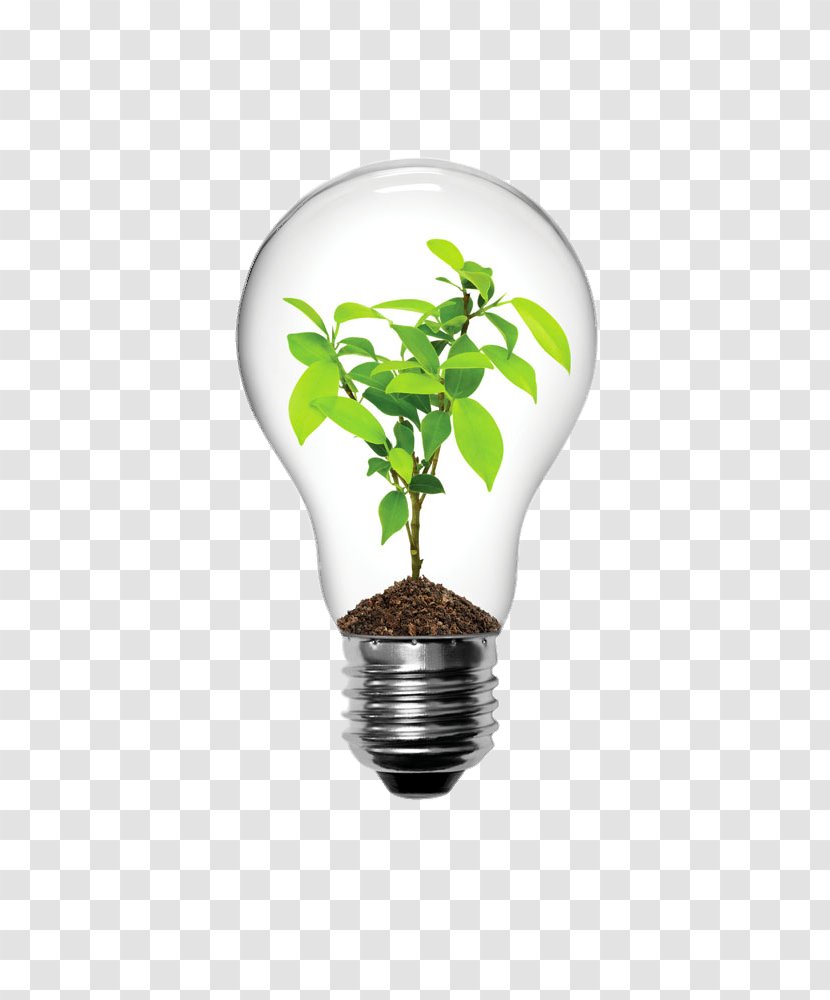 Incandescent Light Bulb Lighting LED Lamp Electric - Leaf - Creative Plants Transparent PNG
