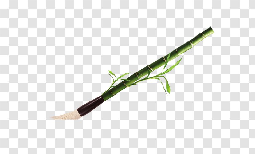 Plant Stem - Traditional Bamboo Brush Transparent PNG