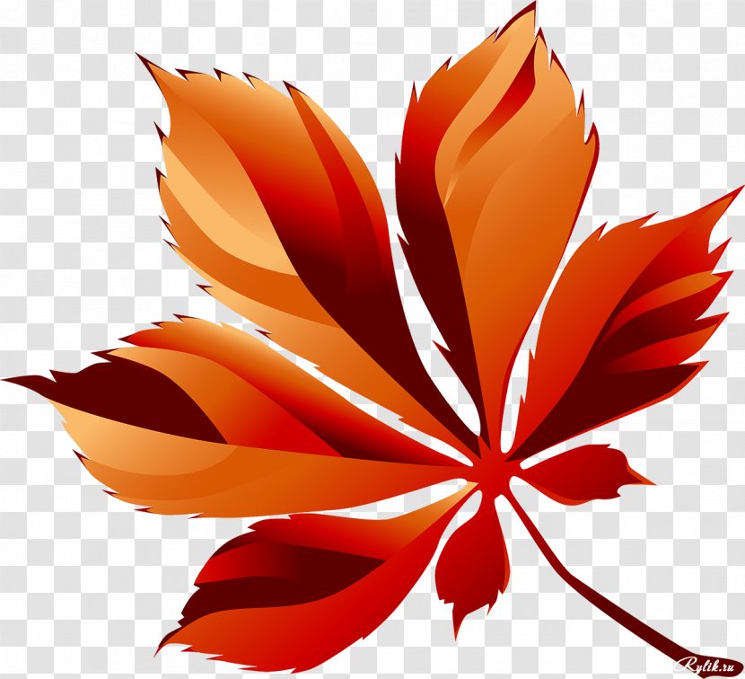 Leaf Petal Raster Graphics Clip Art - Plant Transparent PNG