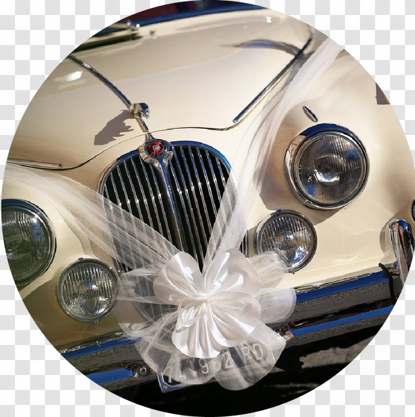 Car Rental Marriage Wedding Bride - Driver Transparent PNG