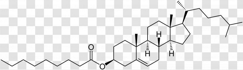 Pharmaceutical Drug Chemical Substance Steroidal Alkaloid 中药学 - Heart - Ester Transparent PNG